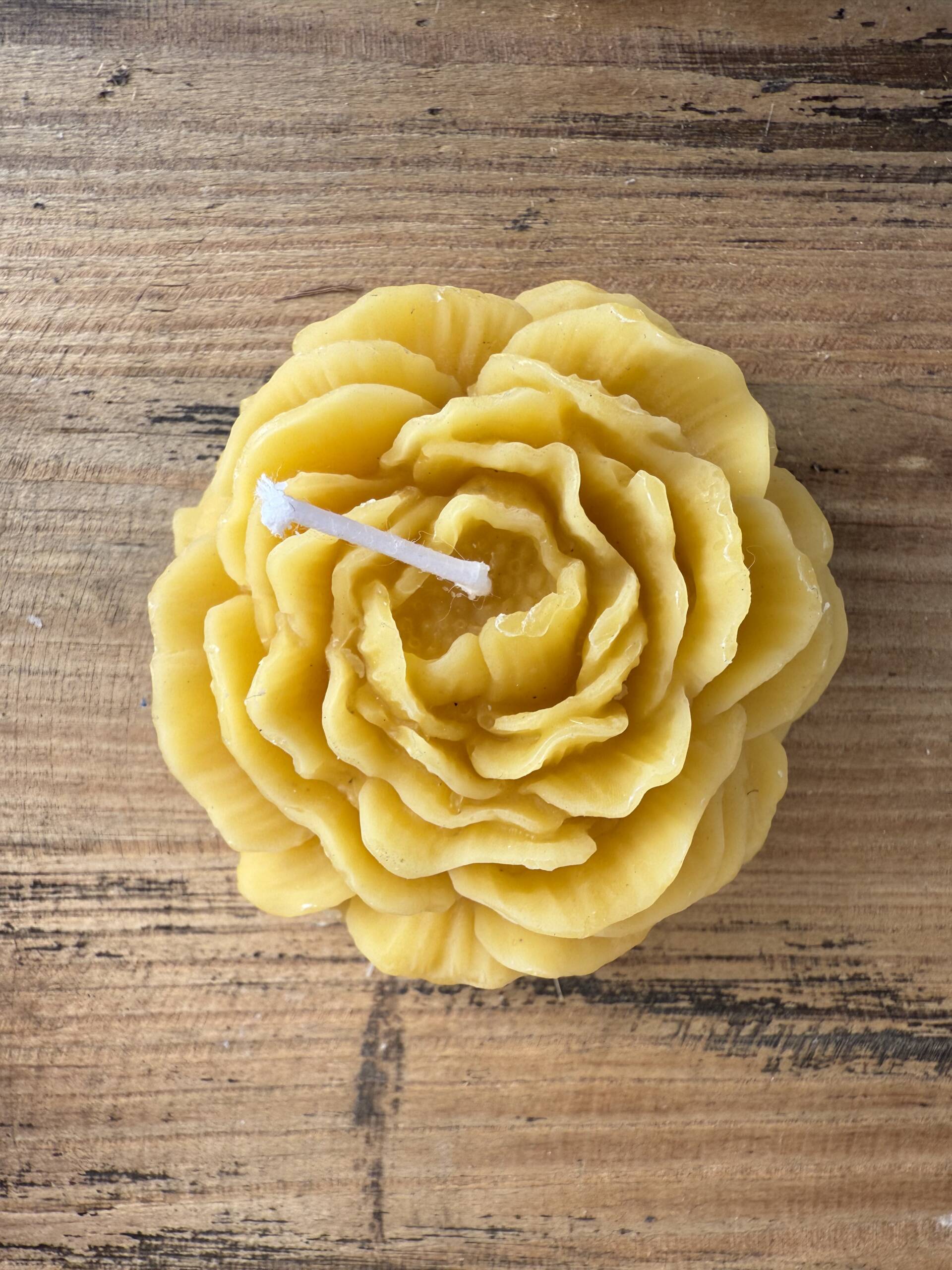 Fiore Peonia